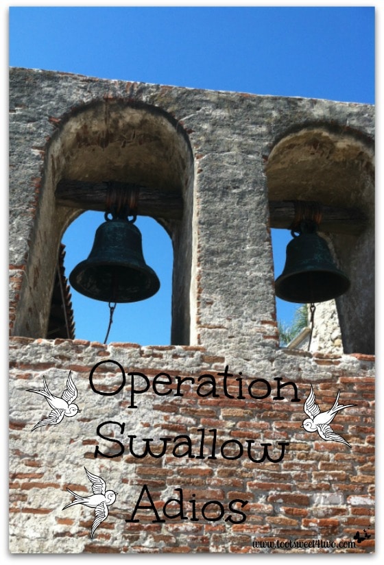 Operation Swallow Adios