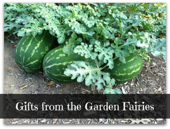 Gifts from the Garden Fairies