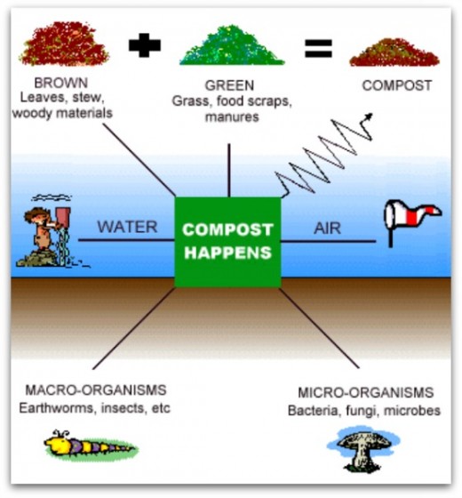 How compost happens (Photo source - Wikipedia)