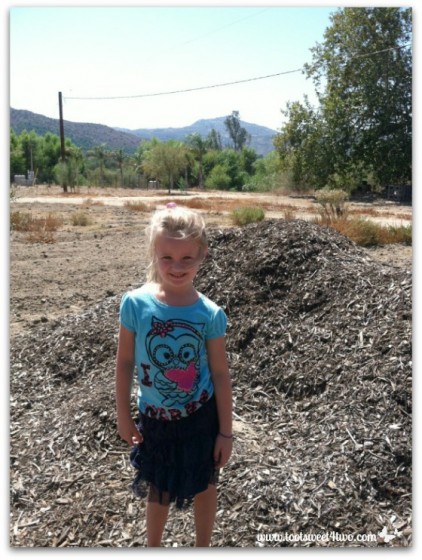 Princess P standing next to a pile of purchased mulch