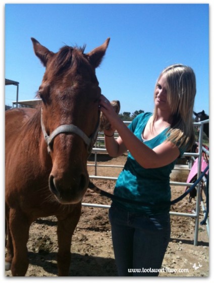 Samantha grooming Lisa's horse
