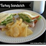 Turkey Sandwich cover