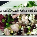 Turkey and Avocado Salad with Craisins cover