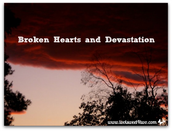 Broken Hearts and Devastation