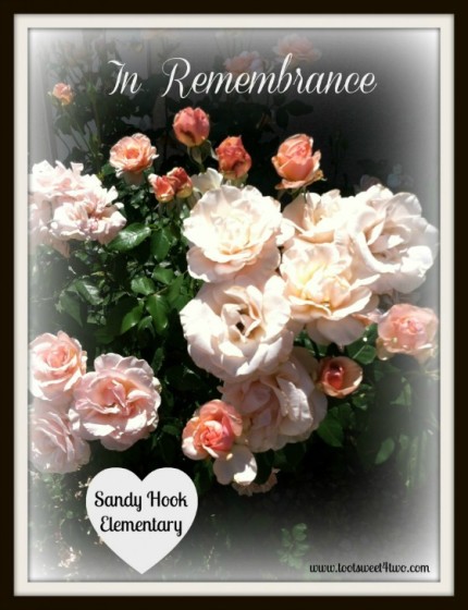 In Remembrance - Sandy Hook Elementary