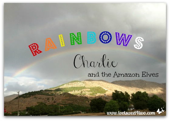 Rainbows, Charlie and the Amazon Elves