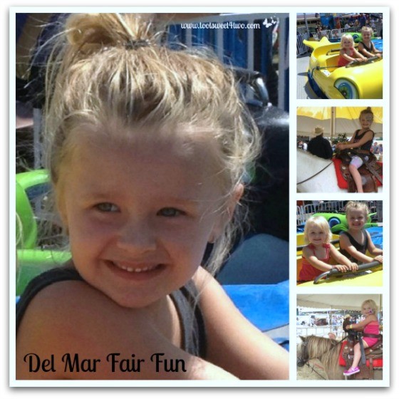 Del Mar Fair Fun - 42 Things to do in San Diego