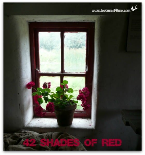 42 Shades of Red