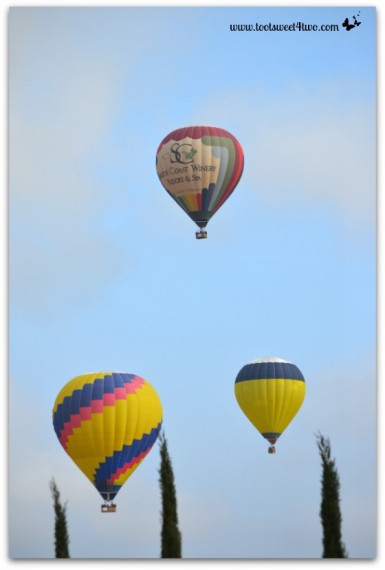 3 Hot Air Balloons skimming the trees