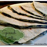 spinach-tortillas