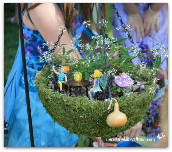 Fairy Garden in a Hanging Basket