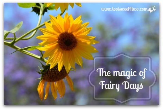 The Magic of Fairy Days