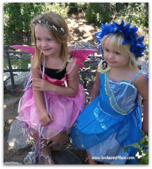 The Princess Fairies 2012