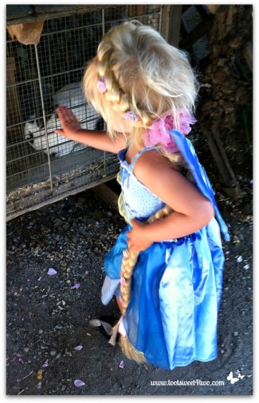The Rapunzel Fairy 2012