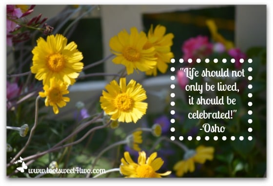 Celebrate Life