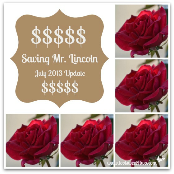 Saving Mr. Lincoln – July 2013 Update