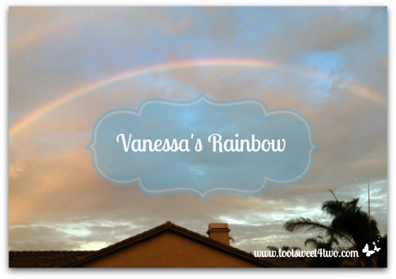 Vanessa’s Rainbow, Tim Tam and Vegemite