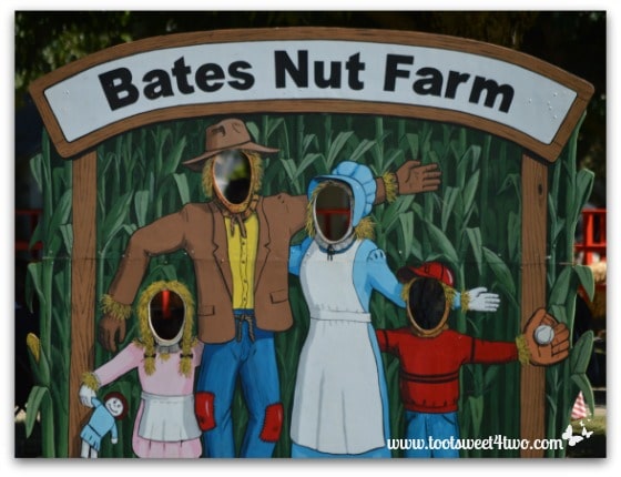 Nuts at the Nut Farm