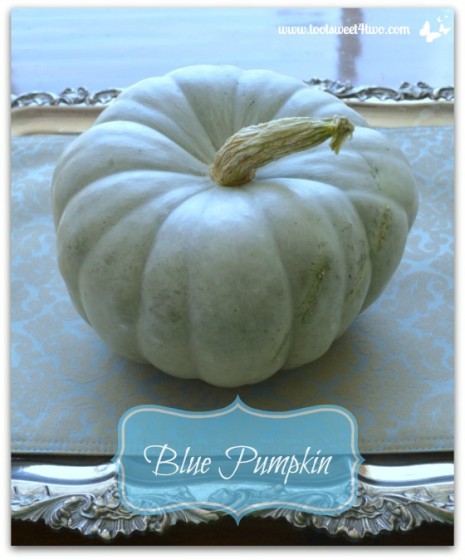 Blue Pumpkin on silver tray