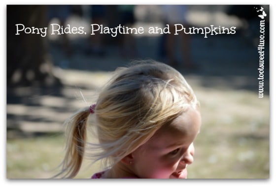Pony Rides, Playtime and Pumpkins
