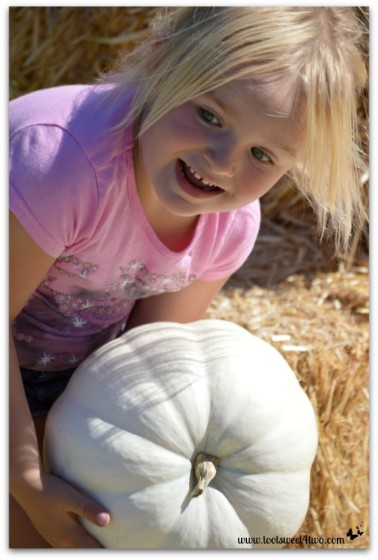 Princess Sweetie Pie chooses a perfect white pumpkin