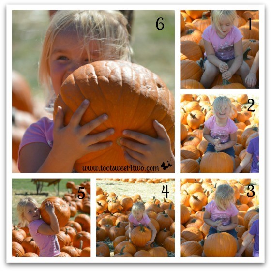 Princess Sweetie Pie lifts a pumpkin