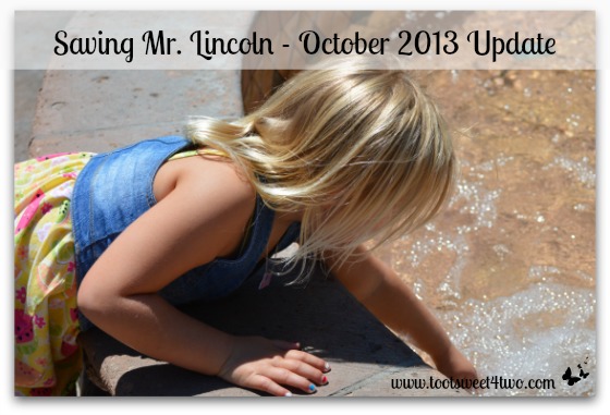 Saving Mr. Lincoln – October 2013 Update