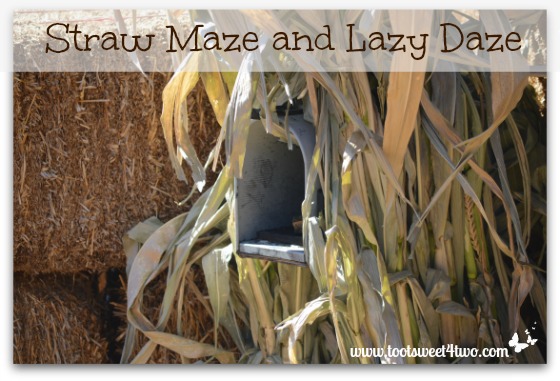 Straw Maze and Lazy Daze