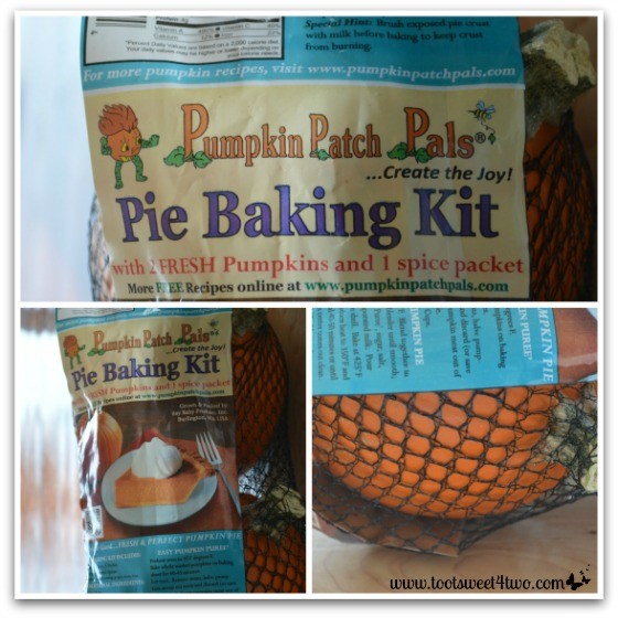 Pumpkin Patch Pals Pie Baking Kit