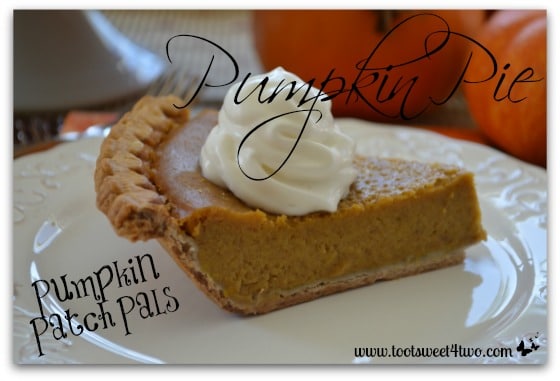 Pumpkin Patch Pals Thanksgiving Pumpkin Pie