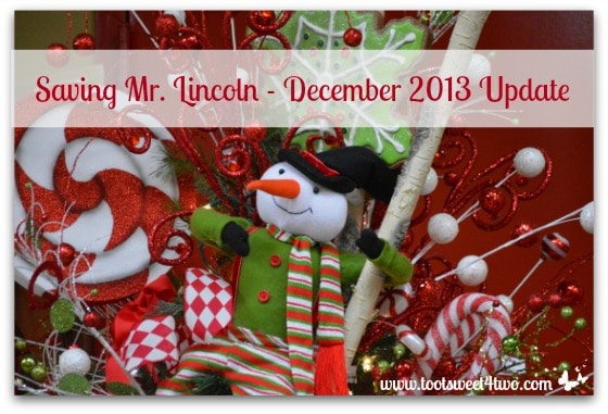 Saving Mr. Lincoln – December 2013 Update