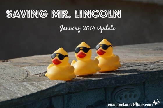 Saving Mr. Lincoln – January 2014 Update
