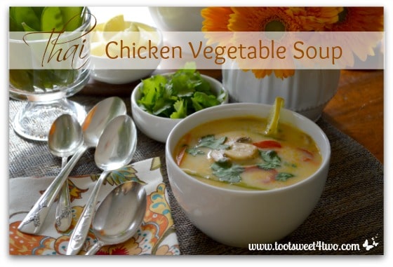 Thai-on-the-Fly Chicken Vegetable Soup