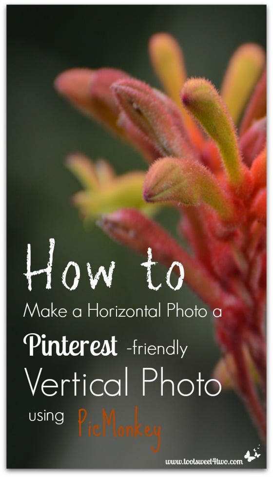How to Make a Horizontal Photo a Pinterest-friendly Vertical Photo Using PicMonkey