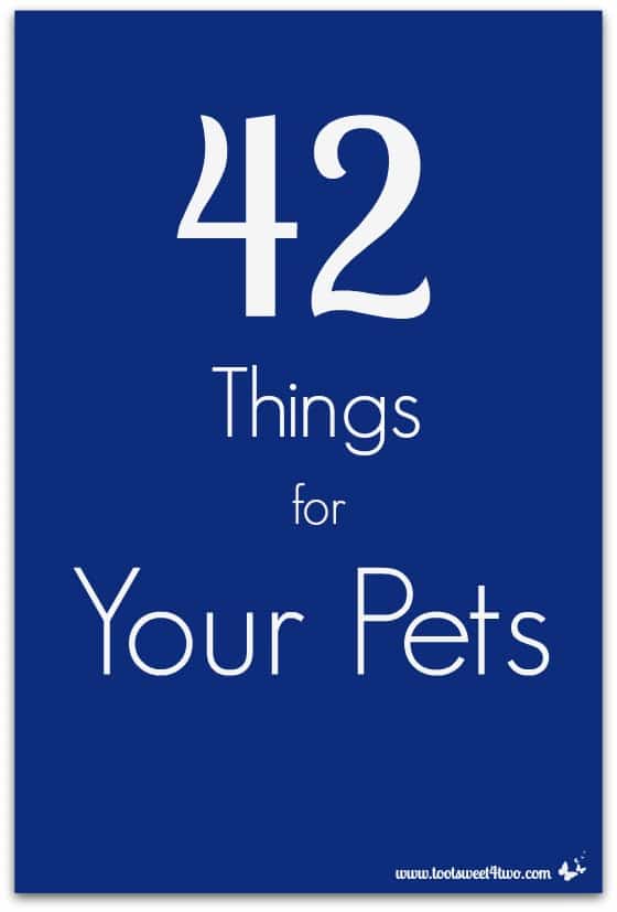 42 Things for Your Pets