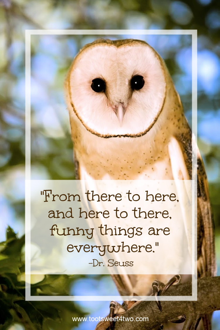 beautiful barn owl with Dr. Seuss quote
