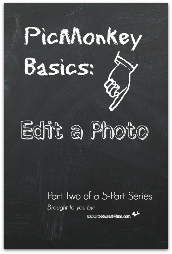 PicMonkey Basics:  Edit a Photo