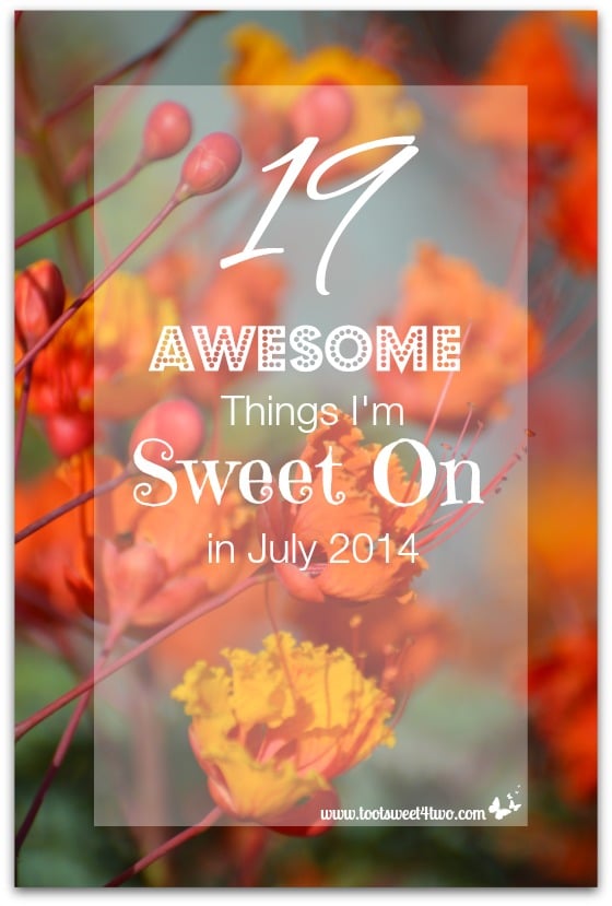19 Awesome Things I’m Sweet On in July 2014