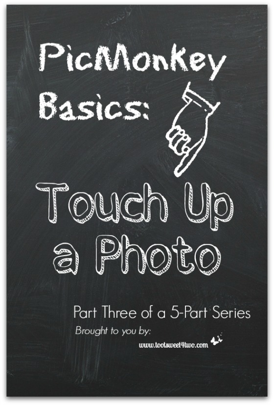 PicMonkey Basics:  Touch Up a Photo