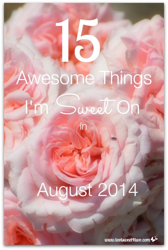 15 Awesome Things I’m Sweet On in August 2014