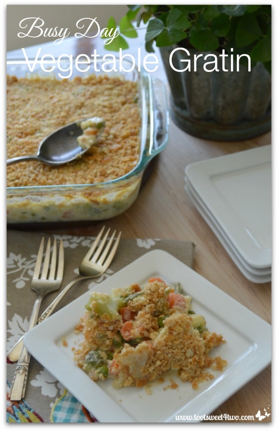 Satisfying and Comforting Busy Day Vegetable Gratin