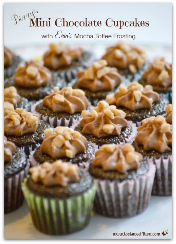 Bizzy’s Mini Chocolate Cupcakes with Erin’s Mocha Toffee Frosting