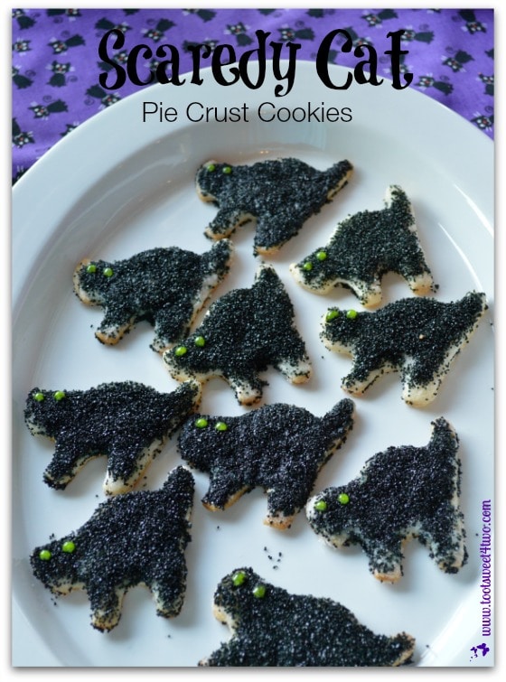 Scaredy Cat Pie Crust Cookies – Eat Them at Your Peril!