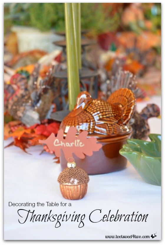 Decorating the Table for a Thanksgiving Celebration