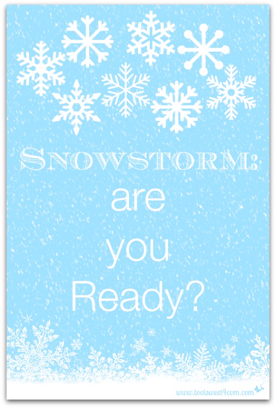 Snowstorm:  are you Ready?