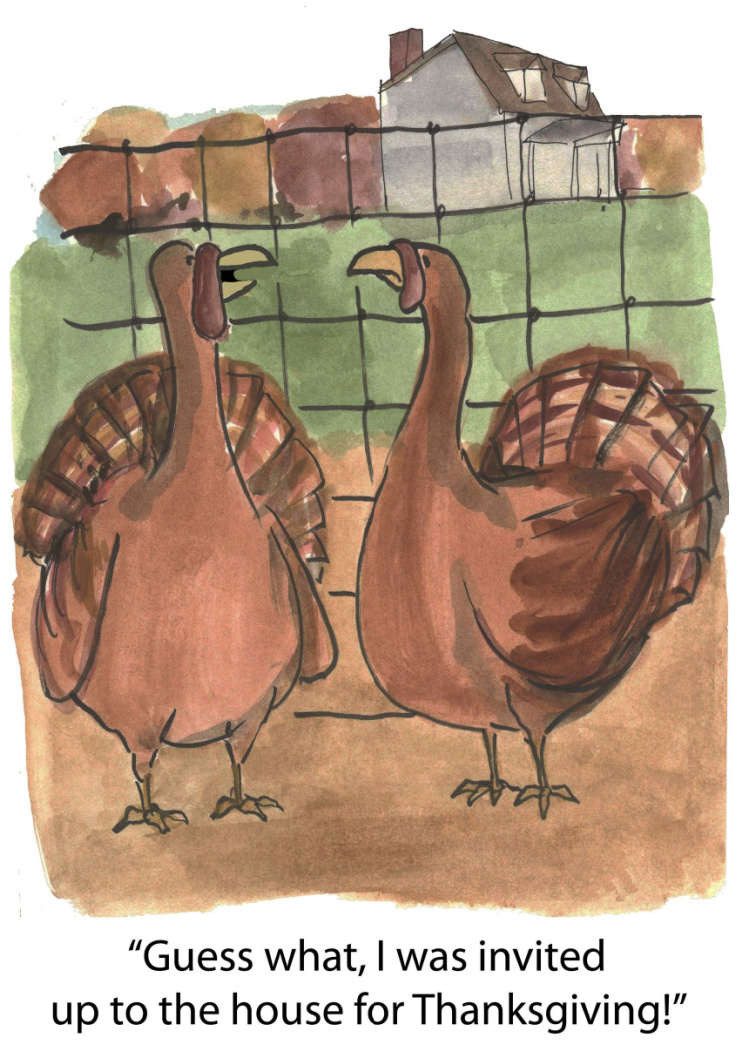 funny cartoon about two Thanksgiving turkeys