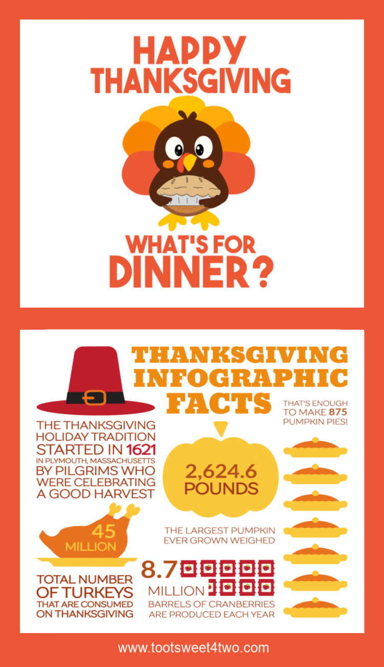 Cute Thanksgiving Infographic