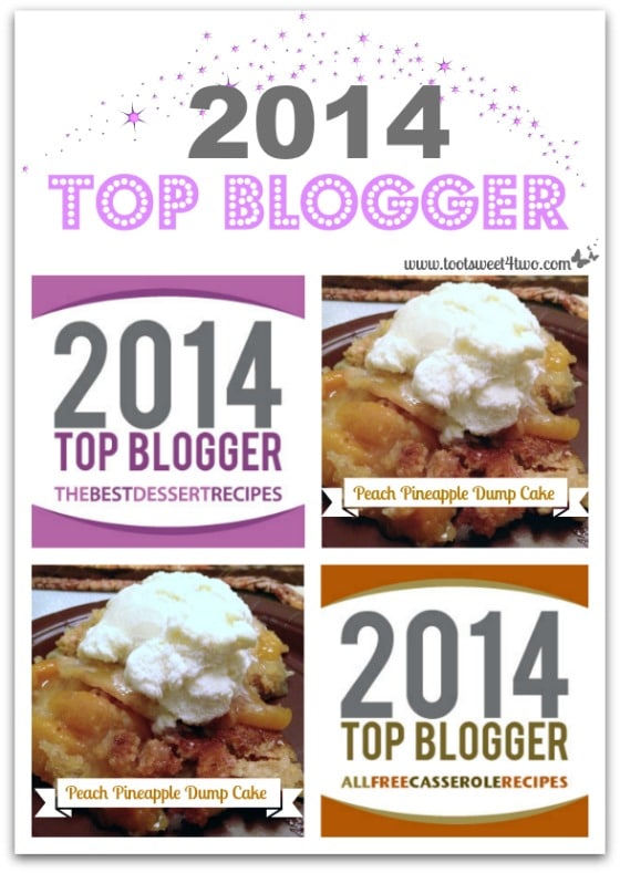2014 Top Blogger Award cover