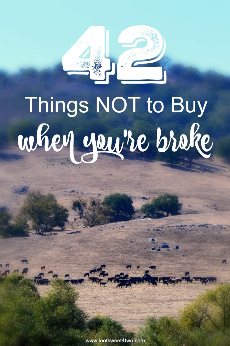 42 Things NOT to Buy When You’re Broke