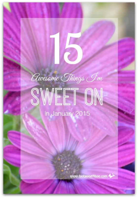 15 Awesome Things I’m Sweet On in January 2015